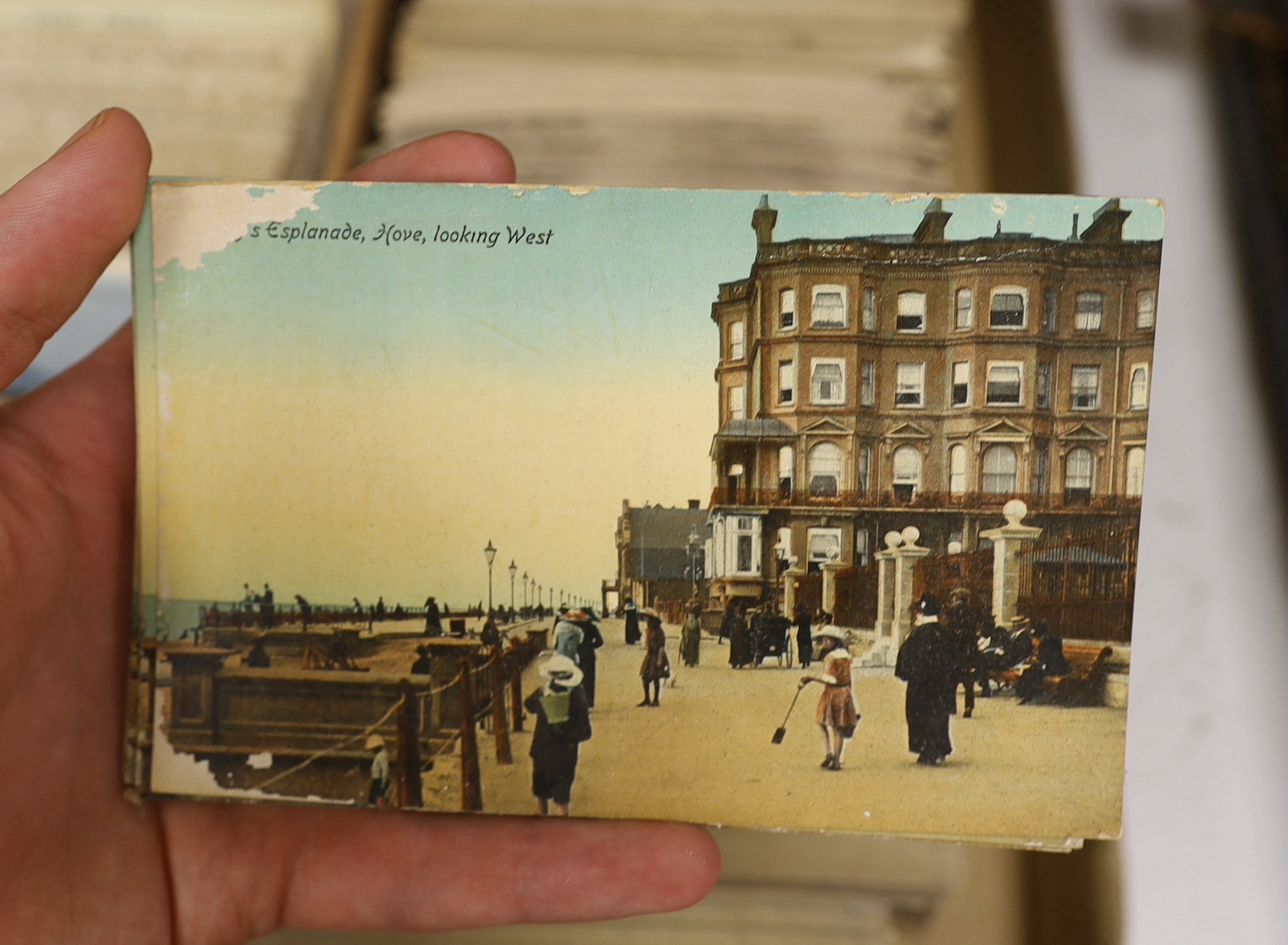 Shop stock of unused local interest postcards including Brighton, Hove and Sussex